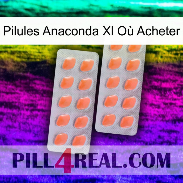 Pilules Anaconda Xl Où Acheter 27